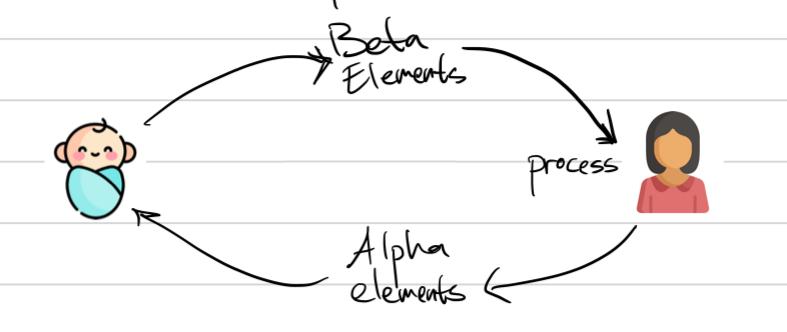 <p><strong>Containment and thinking</strong></p><ul><li><p>The infant has raw, unprocessed emotional experiences-<strong> Beta elements</strong></p></li><li><p>The mother acts as a <strong>container </strong>- receives, processes, and transforms these experiences into a tolerable form, then returns them to the baby- <strong>Alpha elements.</strong></p></li><li><p>If the containment fails, the <strong>experiences </strong>remain <strong>unprocessed or unthinkable</strong></p></li><li><p>This creates an <strong>inability to think and symbolize emotional experiences</strong></p></li><li><p><strong>Thoughts become indistinguishable from reality</strong></p></li><li><p>This causes <strong> projective identification </strong></p></li><li><p><strong>psychotic parts</strong> of the personality <strong>control</strong> the individual’s thoughts, his link between self and others, and links between past, present and future.</p></li></ul><p></p>