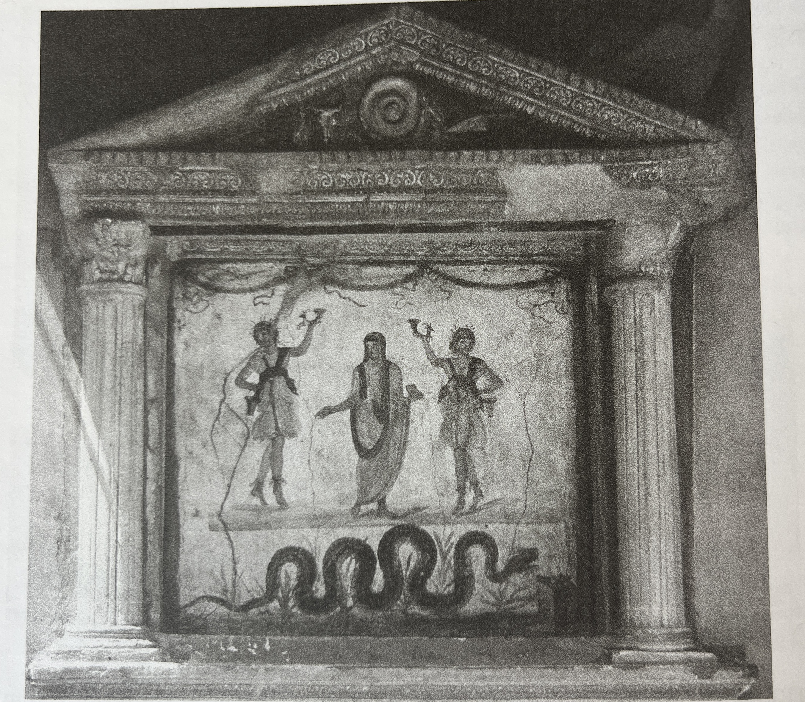 term image