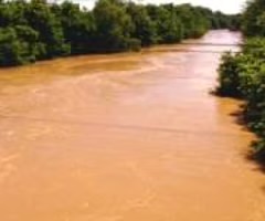 <p>cloudy or muddy conditions owing to sediments held in suspension</p>