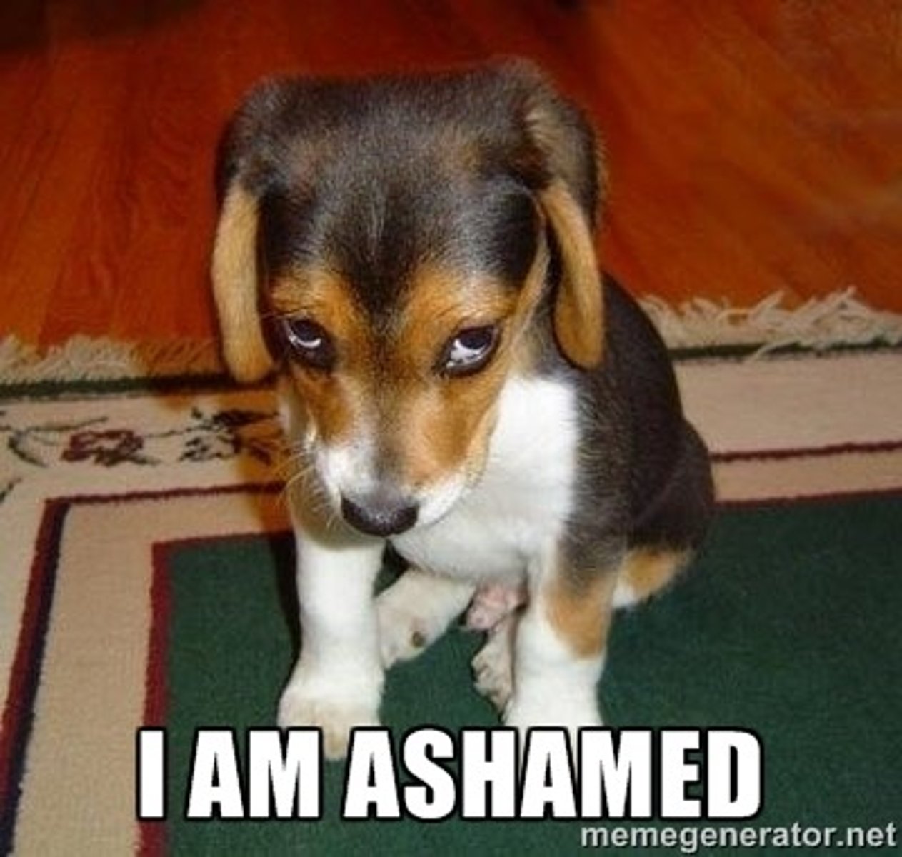 <p>I am embarrassed</p>