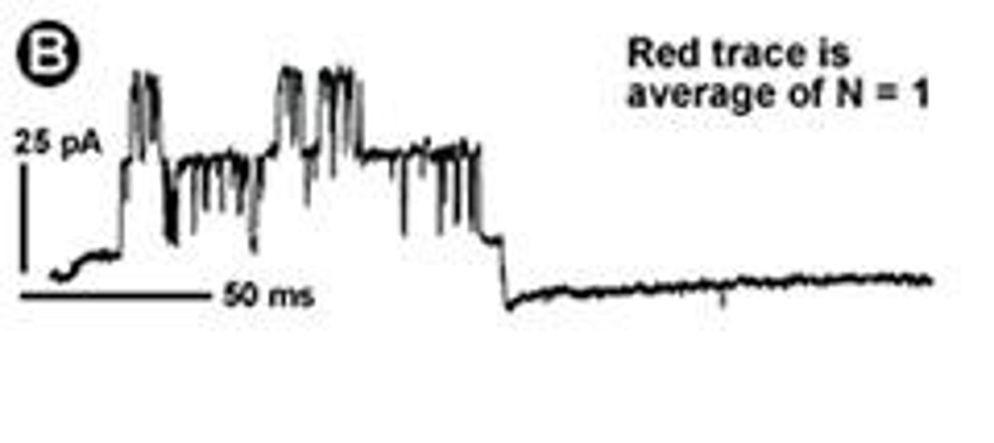 <p>Method for studying single ion channel proteins.</p>