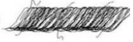 <p>staple spun yarn</p>
