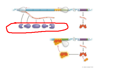 <p>What system + what structure</p>