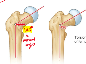 <p>125 is normal for adults, and 120 degrees for older age </p>