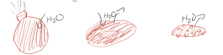 <p>Label the tonicities</p>