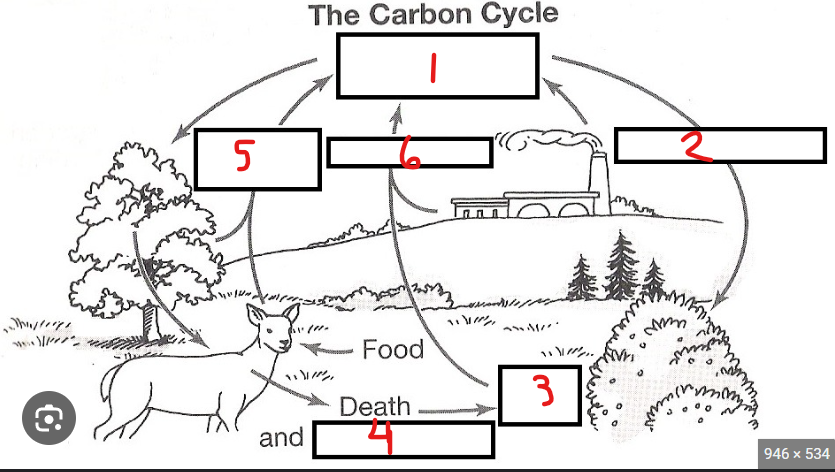 <p>6</p>