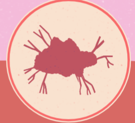 <p>dendrites</p>