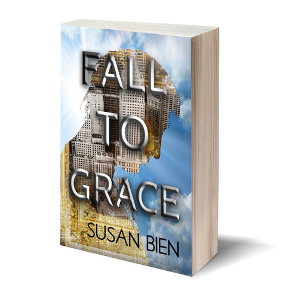 <p>paperback book</p>