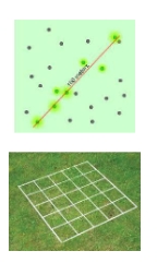 <p>counted via:</p><ul><li><p>lines of known length called <strong>transects</strong></p></li><li><p>plots of known size called <strong>quadrats</strong></p></li><li><p>counts used to <strong>estimate </strong>population size and document <strong>trends </strong>over time</p></li></ul><p></p>