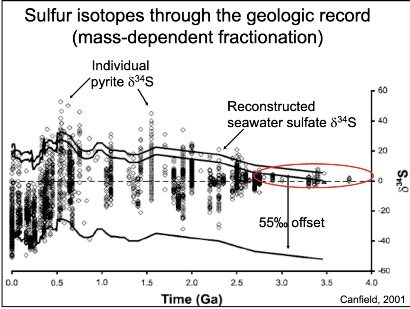 <p>plotted with time (Ga) vs δ<sup>34</sup>S. shows how when oxygen increases, we get oxidative weathering, and sulfate delivery increases, so sulfide can readily be converted into pyrite.&nbsp;</p>
