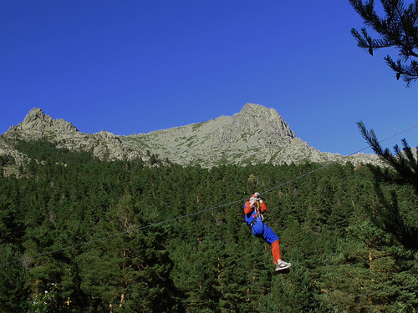 <p>to zipline</p>