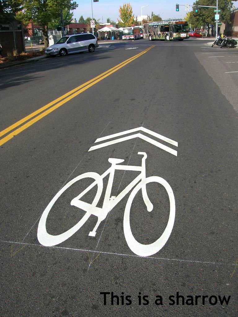 <p><strong>What do shared roadway bicycle markings (sharrows) indicate?</strong><br><span>A) Only pedestrians can use the lane</span><br><span>B) Bicyclists must ride on the sidewalk</span><br><span>C) Drivers should expect and share the lane with bicyclists</span><br><span>D) Parking is not allowed</span></p>