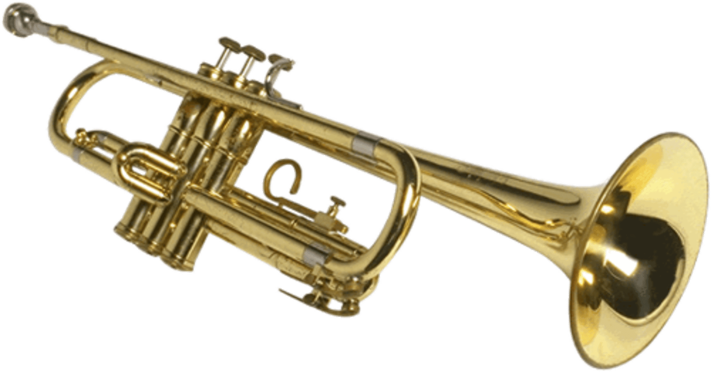 <p>trumpet</p>
