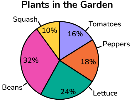 <p>Pie Chart </p>