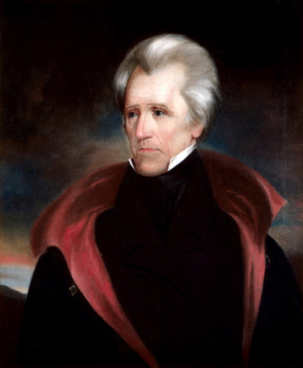 <p>Andrew Jackson 1829-1837 (Democrat)</p>