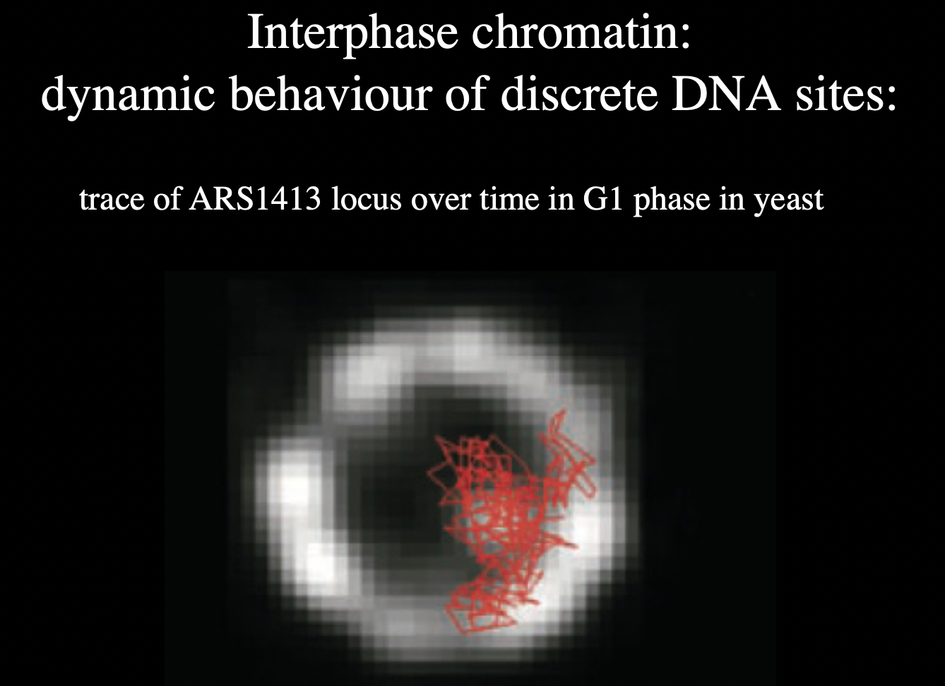 <ul><li><p>tag over time:</p></li></ul><p>RESULT:</p><ul><li><p>dynamic </p></li><li><p>but does stay in rrough territory</p></li></ul><p></p>