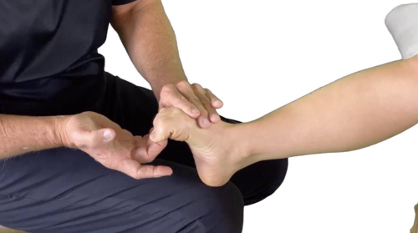 <p>Which assessment is this? Which muscles are involved? Gravity vs. gravity-eliminated?</p>
