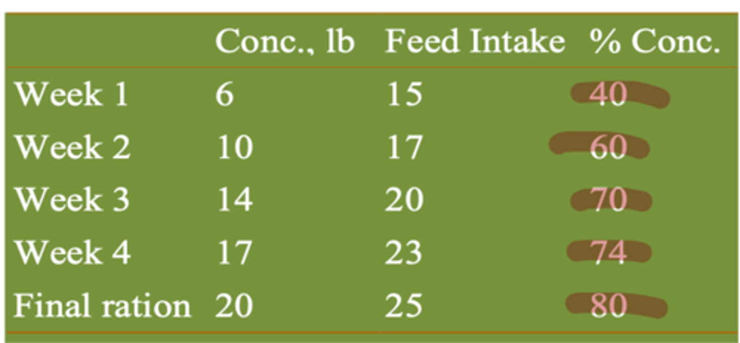 <p>by what method do we prevent rumen upset when changing the diet of beef cattle</p>