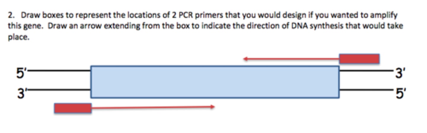 <p>used to design primers to amplify out the STR sequence</p><p>STRs are detected by PCR</p>