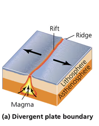 <p>Crusts pull apart and magma rises up, hardens when cooled by water, and creates underwater mountain ranges<br>Ex: Mid-Atlantic Ridge, Sea Floor Spreading<br>*on land: Rift Valley in Iceland and African Rift Valley</p>