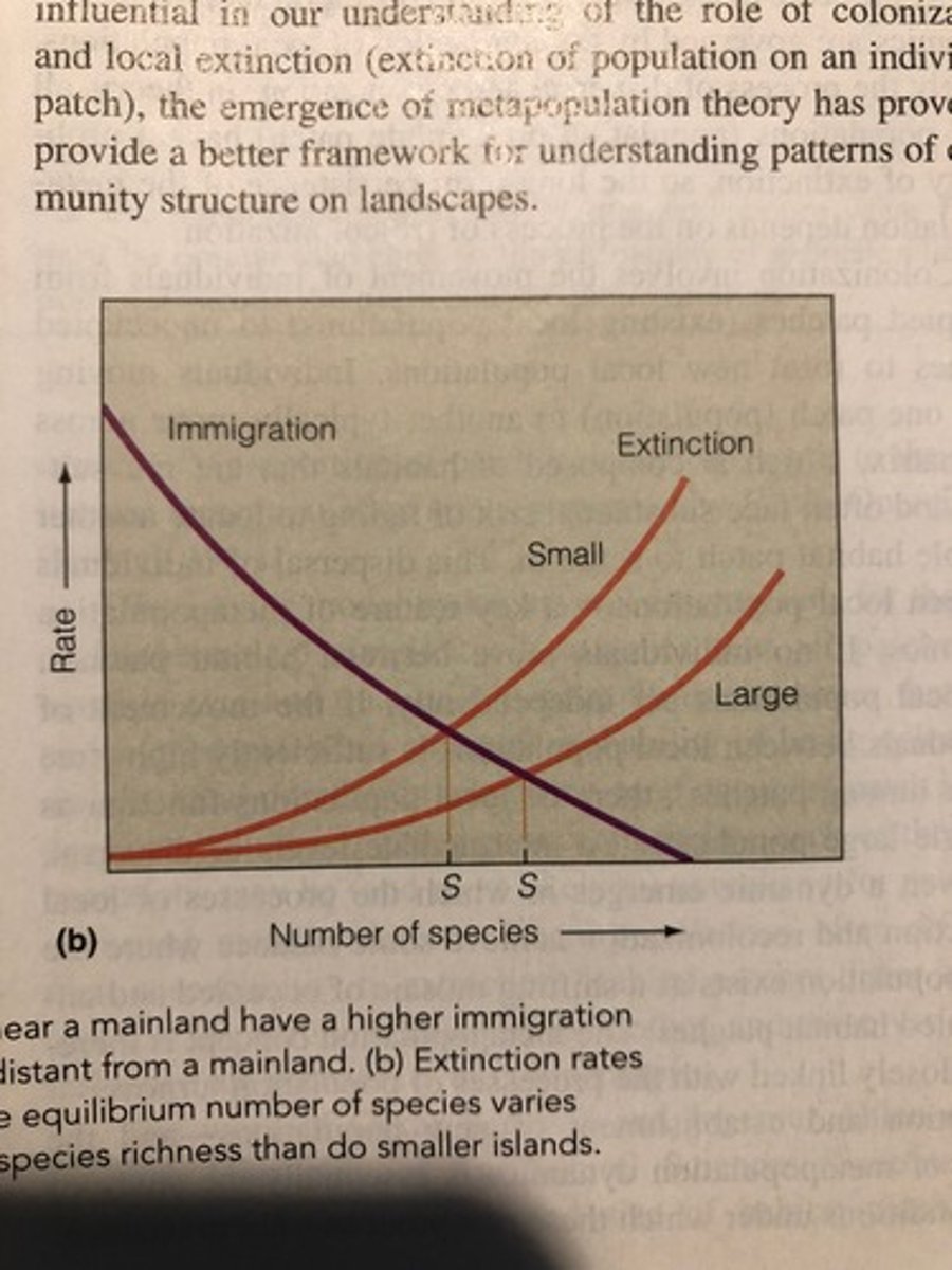 <p><strong>Positive</strong> correlation between island size and species richness.</p>