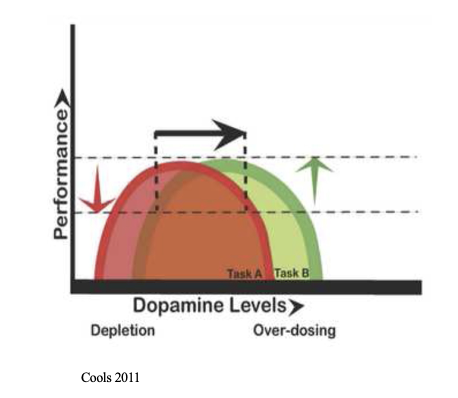 <p>inverted U effects of dopamine on cognitive performance</p>