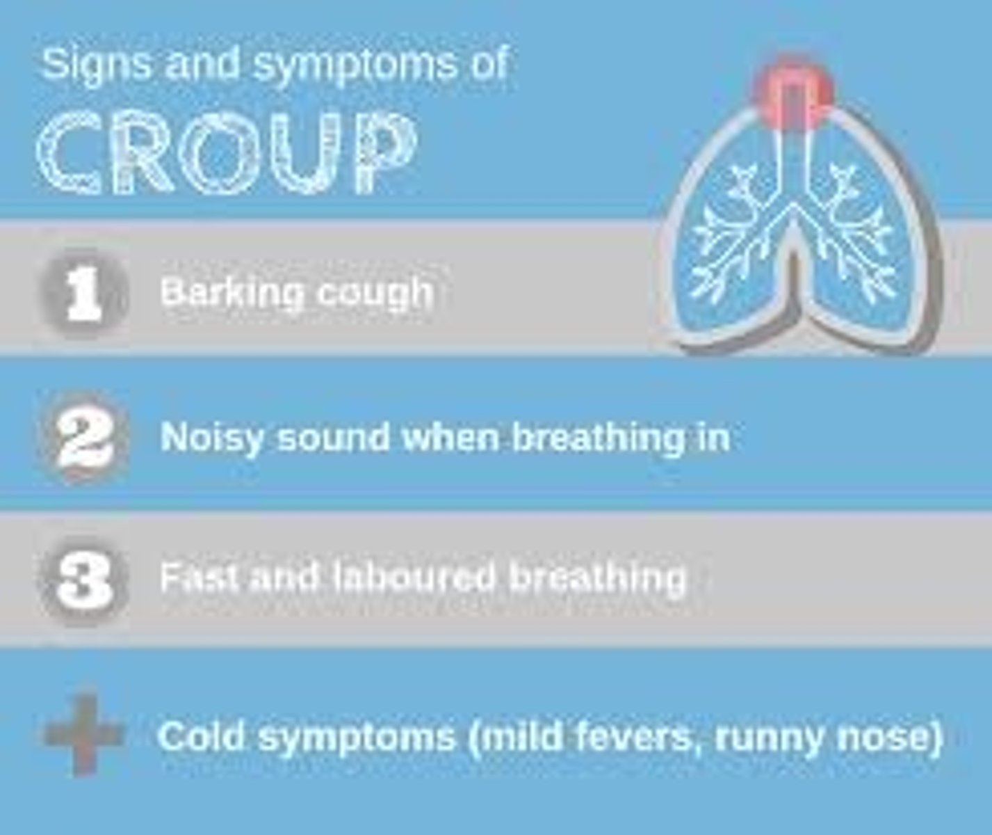 <p>Begins as common cold, then within 24 hours, airways narrow and cause barking cough and stridor</p>