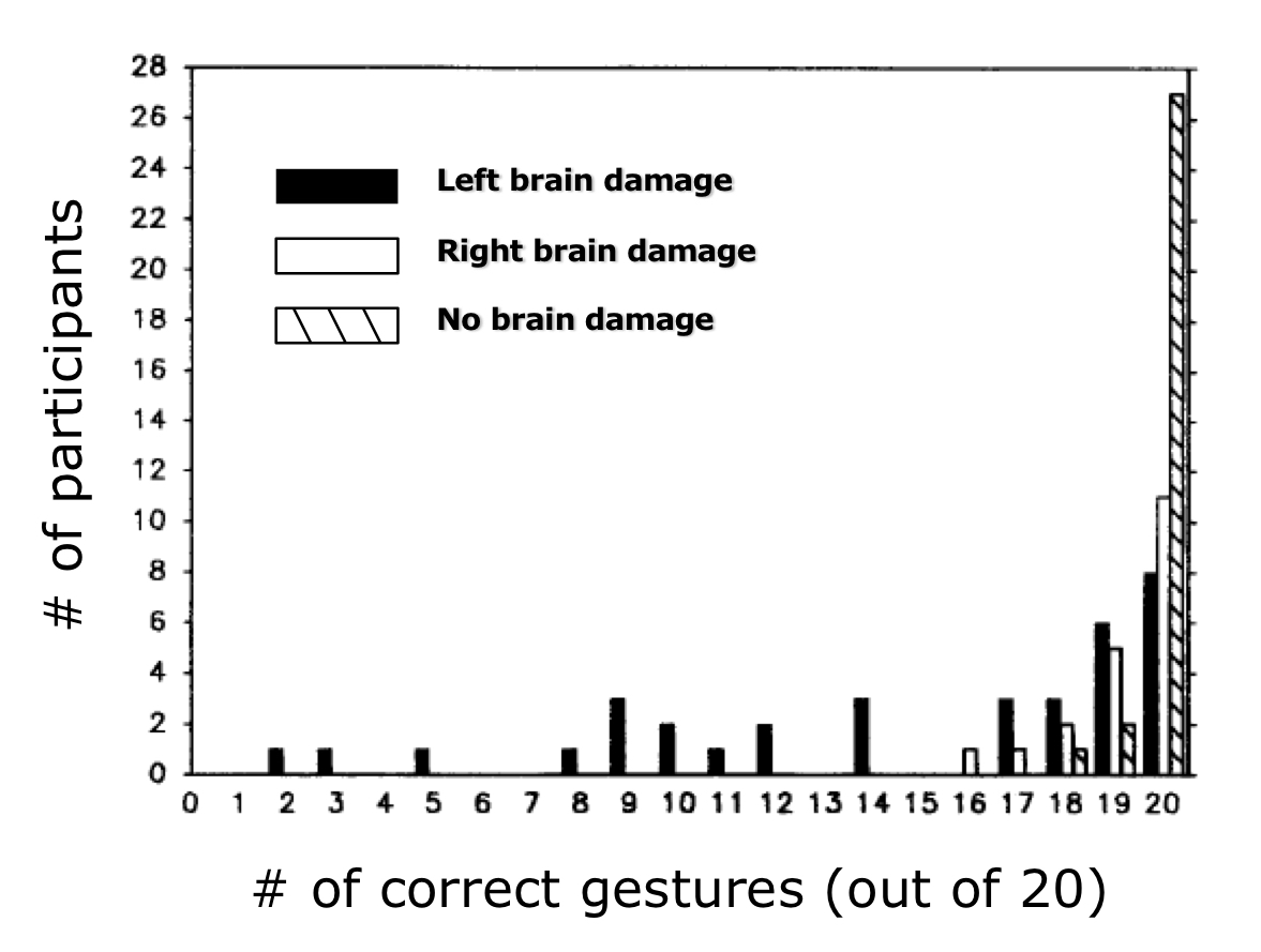 <p>participants were asked to perform 20 different gestures with one of their hands and then copy the gestures onto a mannequin</p><ul><li><p>people with damage to left hemisphere that displayed apraxia when imitating gestures performed the worst when copying the gestures on a mannequin</p></li><li><p>but, people with right hemisphere damage had poorer motor dexterity than people with apraxia (not related to apraxia)</p></li><li><p>people with apraxia can’t evoke/represent conceptual knowledge about human body</p></li></ul><p></p>