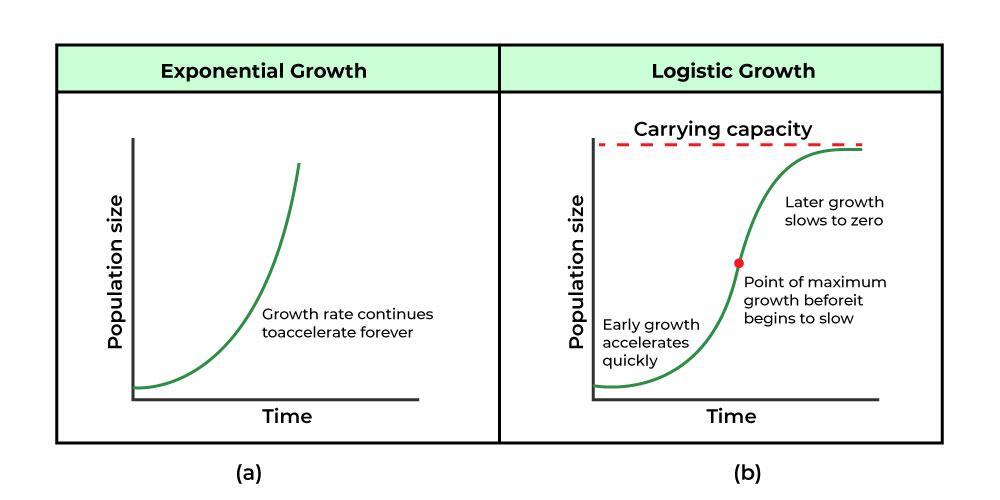 <p>Effects on population growth </p>