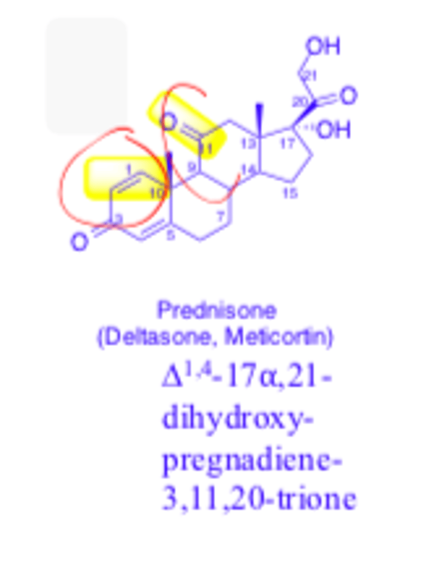 <p>note the TWO double bonds in ring A vs. hydrocortisone</p>