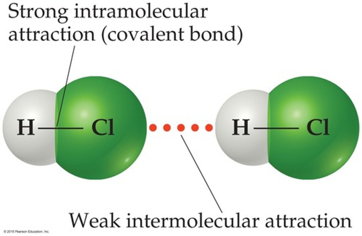 <p>Intramolecular forces are strong forces that hold atoms together within molecules, while intermolecular forces are weak forces that act between molecules.</p>