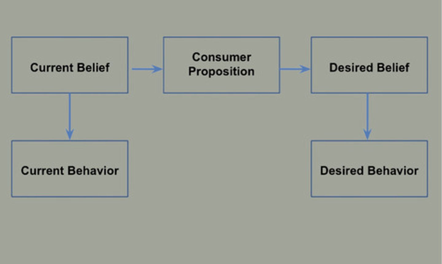 <p>Current Behavior, Current Belief, Consumer Proposition, Desired Belief, Desired Behavior</p>