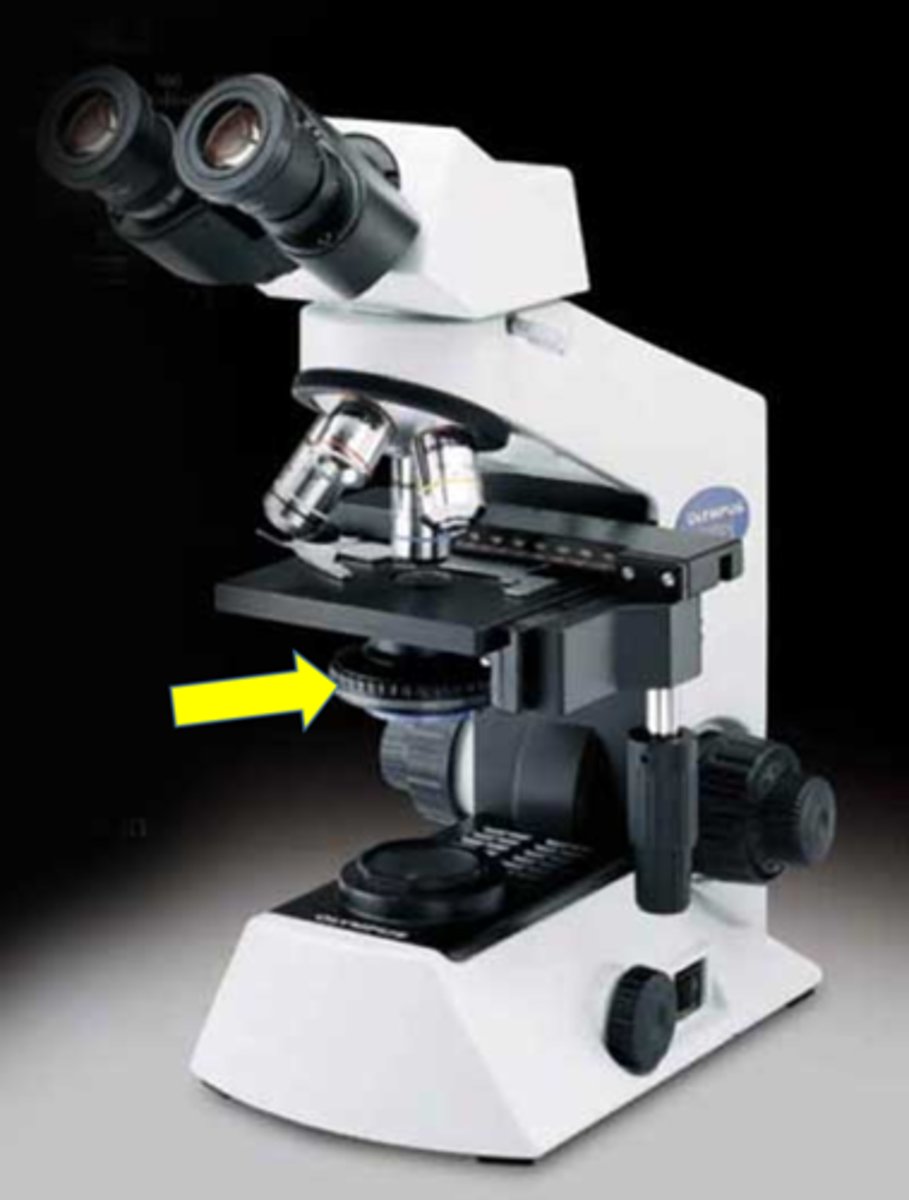 <p>focuses/blends light onto specimen</p>
