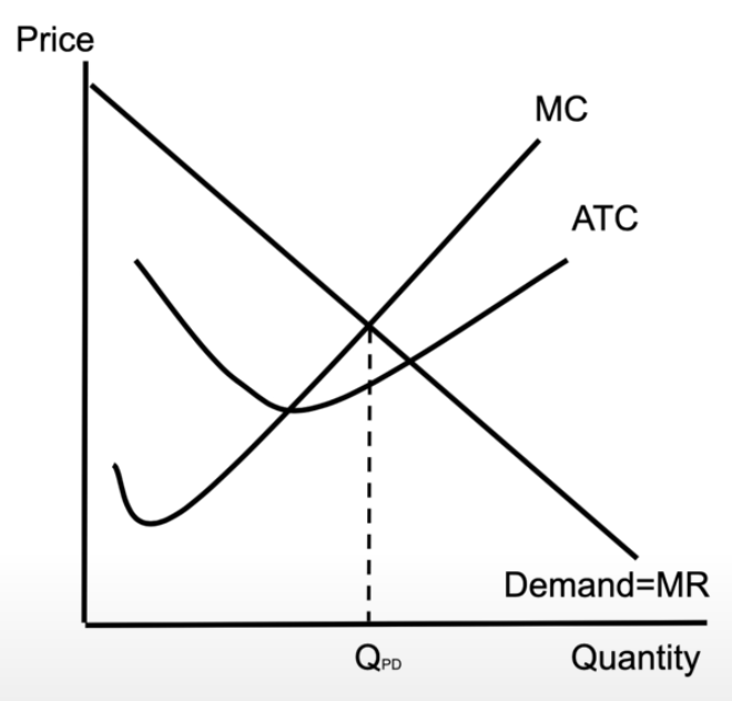 <ul><li><p>the monopoly is charging each consumer exactly how much they are willing to pay</p></li><li><p>demand curve = marginal revenue curve, and there is no consumer surplus → all of it becomes profit</p></li></ul><p></p>
