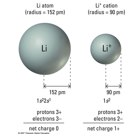 <p>A</p><p>Lithium has a larger atomic radius than Li+ because removing an electron reduces electron-electron repulsion, allowing the remaining electrons to be pulled closer to the nucleus. Since Li+ has the same number of protons but fewer electrons, the stronger effective nuclear charge results in a smaller radius. </p>