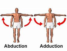 * Movement towards the body’s vertical midline


* Examples could be returning to a standing position after a martial arts kick to the side of the body or pulling oars in rowing.