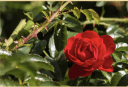 <p>What kind of modification is this?</p>