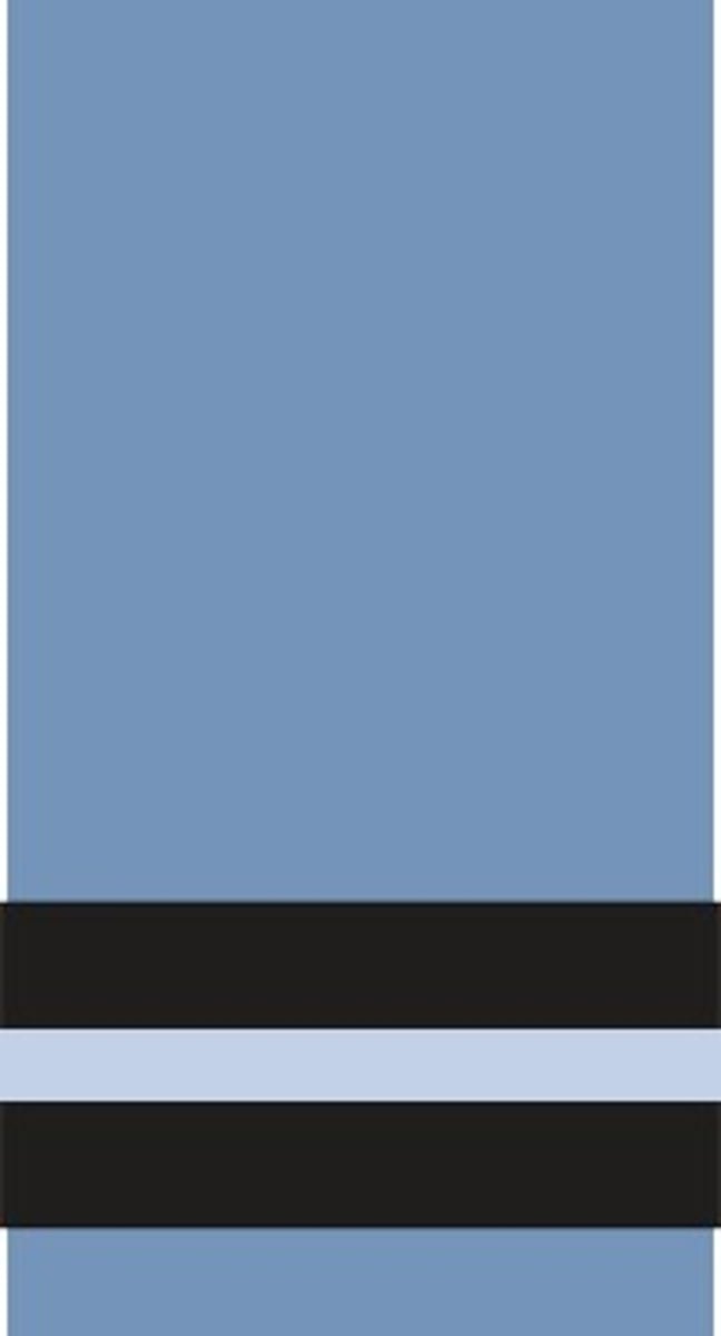 <p>Air commodore</p>