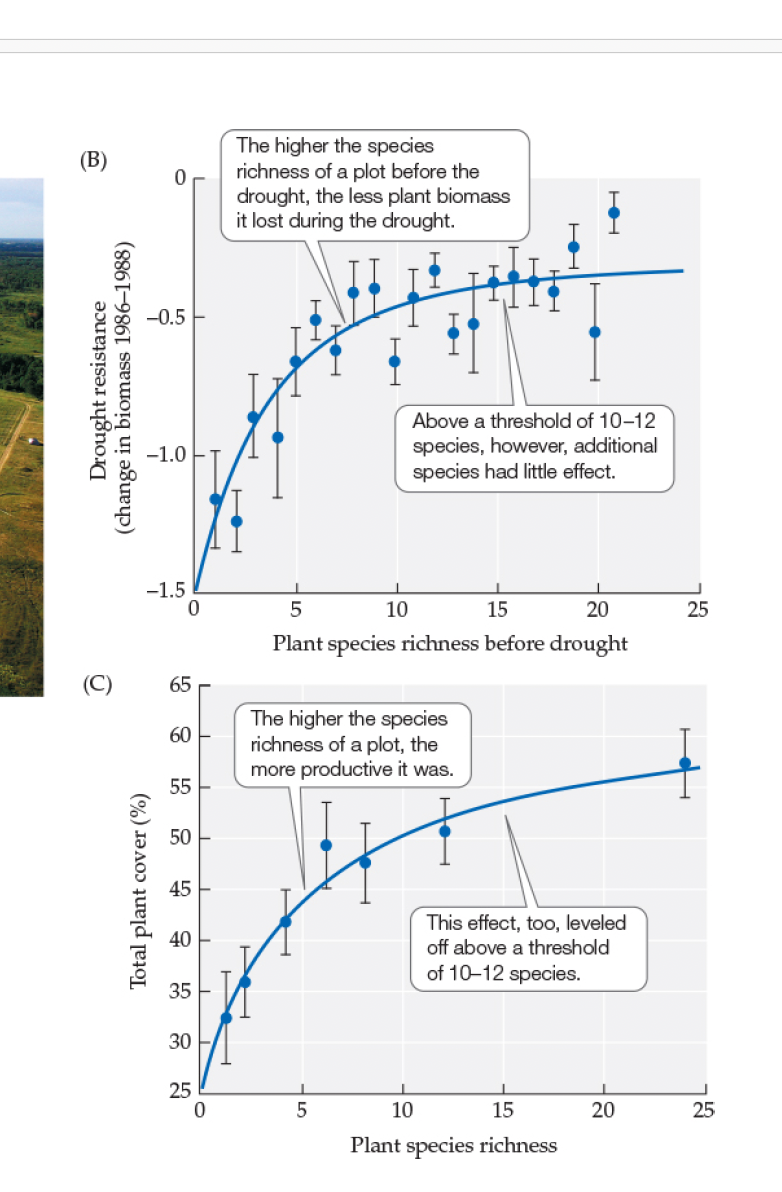 <p>Tilman &amp; Downing (1994) – Drought Resistance in Prairie Plots </p><p>Results</p>