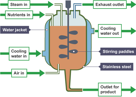 <p>How are the conditions in a fermenter maintained to promote maximum growth?</p>