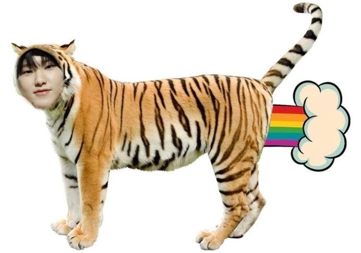 <p>tigre</p>