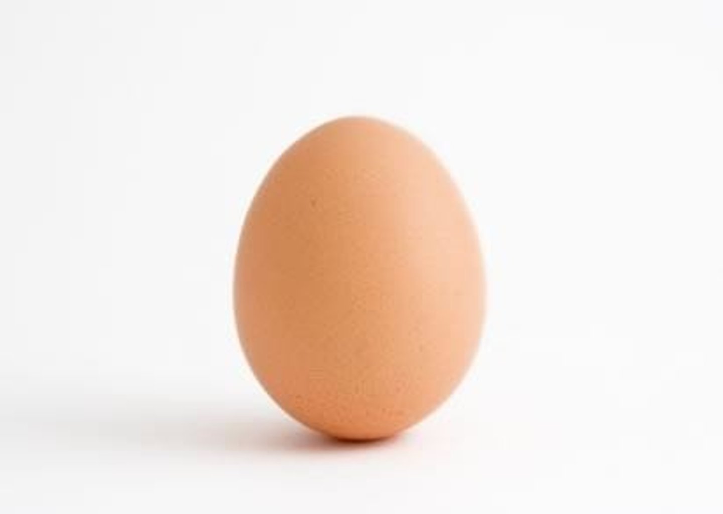 <p>egg</p>