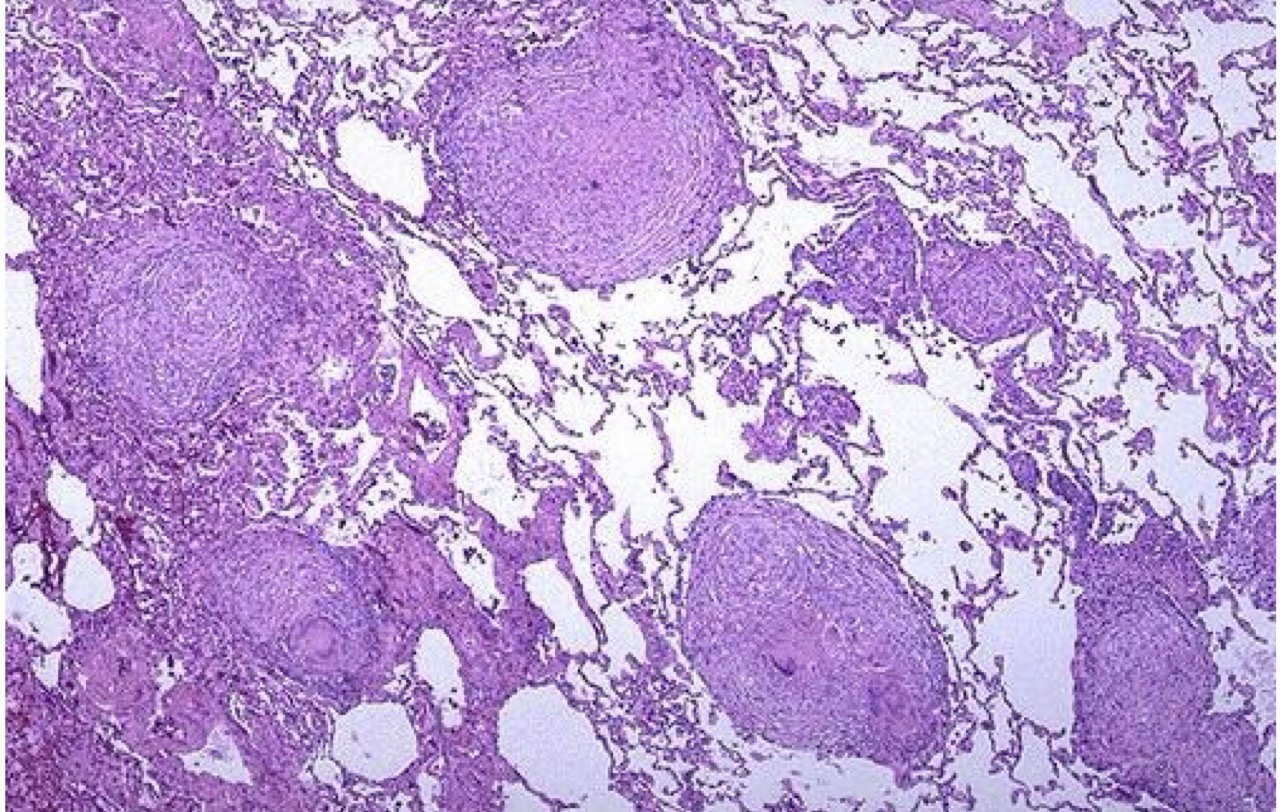 <p>A- identify</p><p>B- describe</p><p></p>