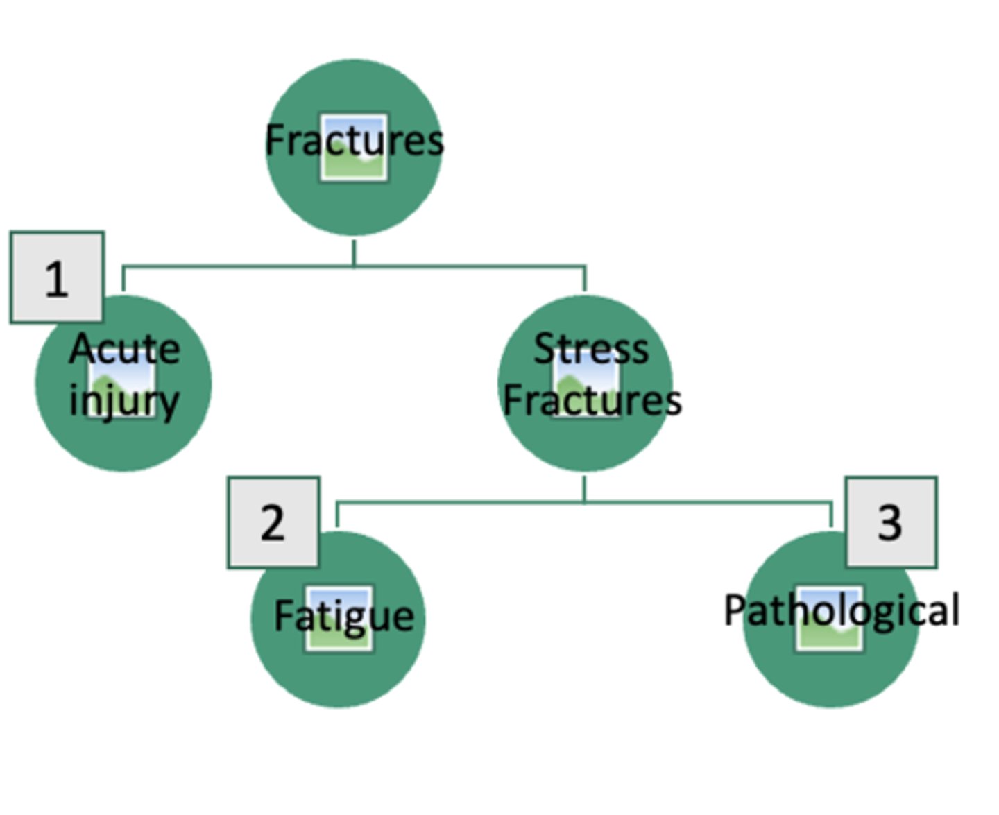<p>Further classified by:</p><p>- Open or closed</p><p>- Location</p><p>- Type or pattern of fracture line</p>