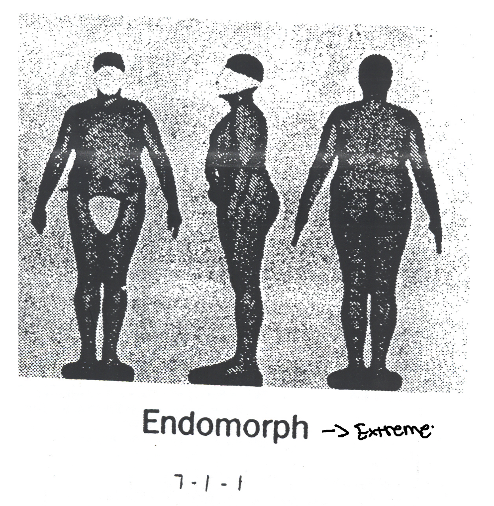 <p>What characteristics did Sheldon give Endomorphs(Plump)?</p>