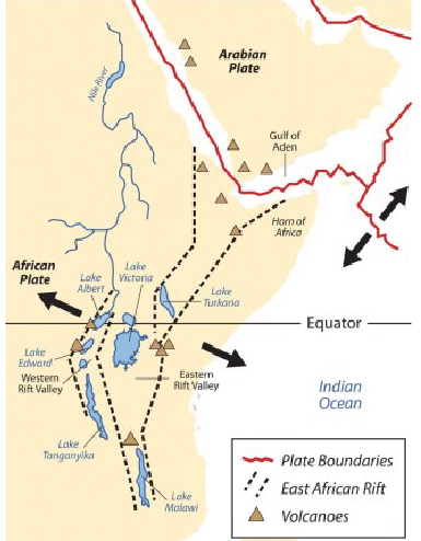 <ul><li><p><em>Type: </em>narrow, active continental rift / proto-ocean</p></li><li><p><em>Age &amp; Crust:</em> ~30 Ma; cuts through very old, strong crust → called an aulacogen.</p></li><li><p><em>Volcanoes:</em> many active volcanoes (Mt. Kilimanjaro).</p></li><li><p><em>Significance:</em> likely area where humans evolved.</p></li></ul><p></p>