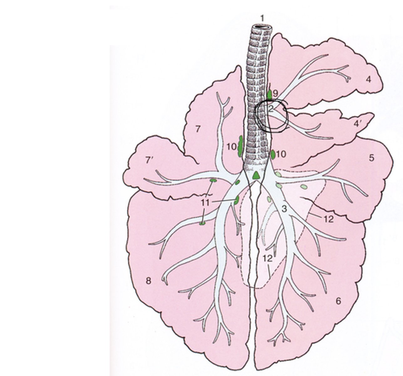 <p>What is being shown in this image?</p>