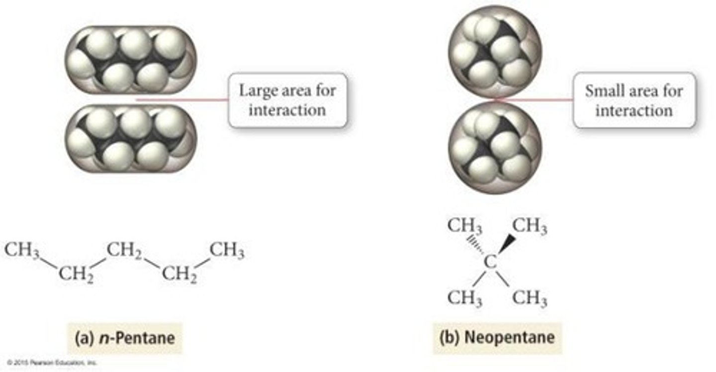 <p>Dispersion forces are stronger with more contact/surface area; longer and/or larger molecules have stronger dispersion forces.</p>