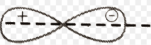 <p>horizontal line that goes through the nucleus</p>