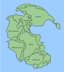 <p>All continents united (210) mya, Upper Triassic)</p>